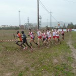 Lap 1 on the Plough in Venta de Banos (Cragg, Martin, Hickey, Beattie) all to the fore