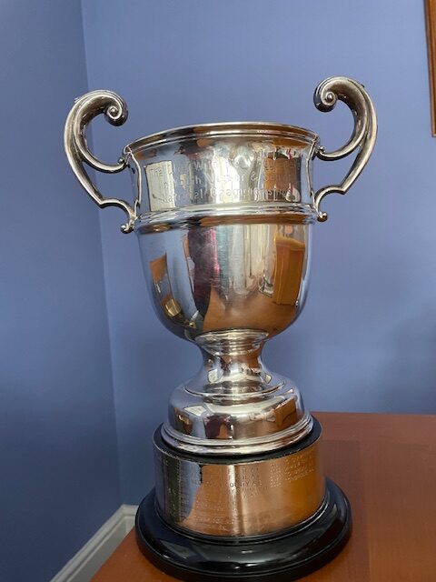 shiny silvery cup on blue background with a silver base - the persil trophy